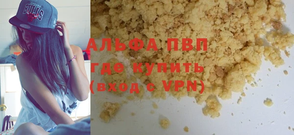 гашик Богданович