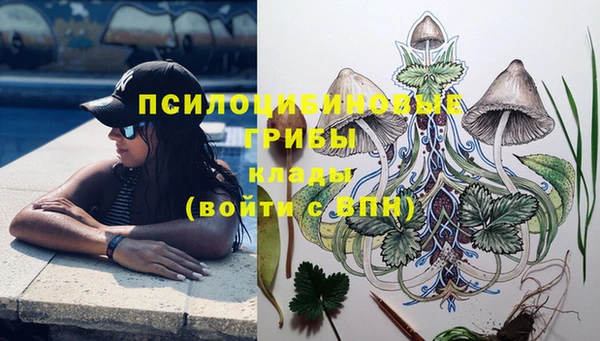 гашиш Богородицк