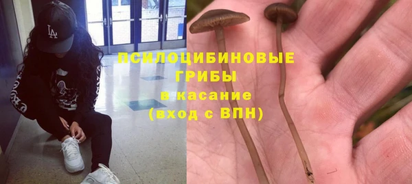 гашиш Богородицк