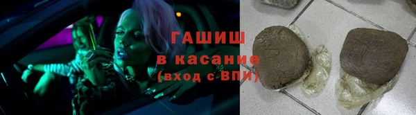 гашик Богданович