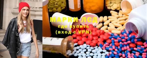 гашик Богданович