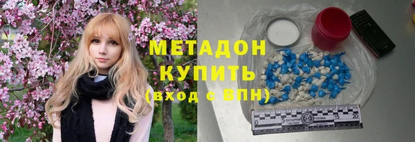 гашик Богданович