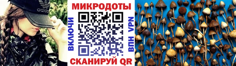 Псилоцибиновые грибы Magic Shrooms  Белогорск 
